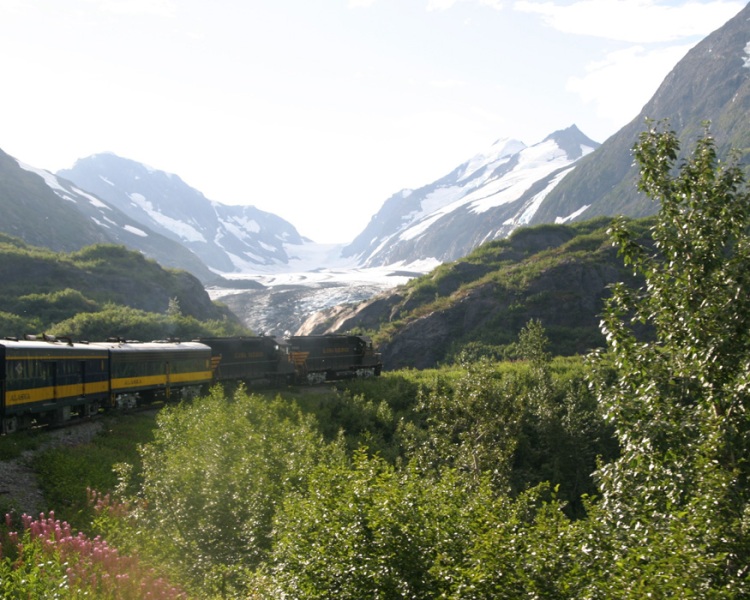 Train passing fields with of glaciers in Alaska